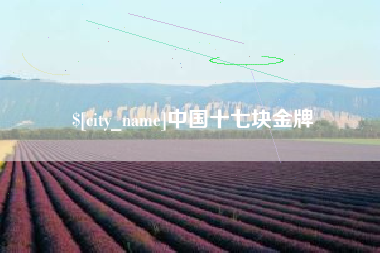 福鼎中国十七块金牌