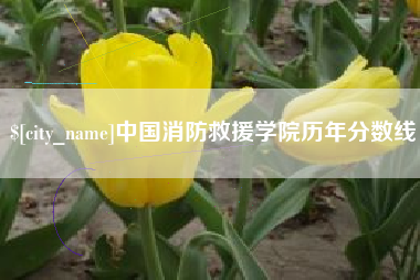 福鼎中国消防救援学院历年分数线