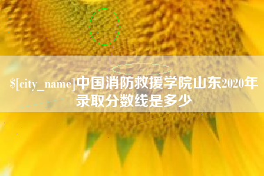 福鼎中国消防救援学院山东2020年录取分数线是多少
