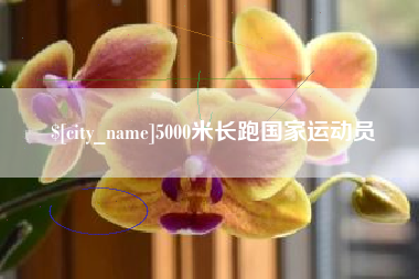 福鼎5000米长跑国家运动员
