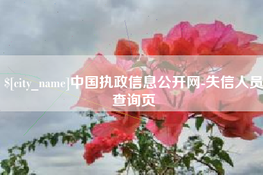 福鼎中国执政信息公开网-失信人员查询页