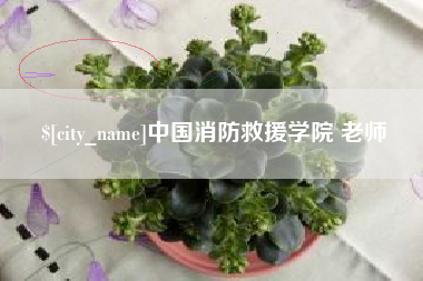 福鼎中国消防救援学院 老师