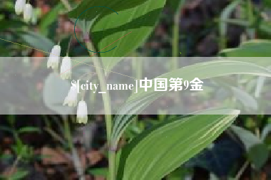 福鼎中国第9金