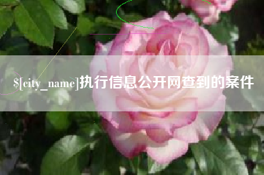 福鼎执行信息公开网查到的案件