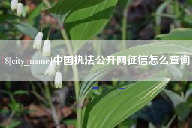 福鼎中国执法公开网征信怎么查询