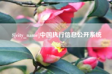 福鼎中国执行信息公开系统