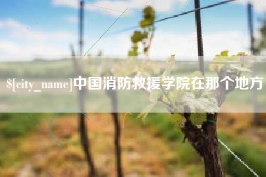 福鼎中国消防救援学院在那个地方