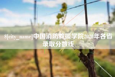 福鼎中国消防救援学院2020年各省录取分数线