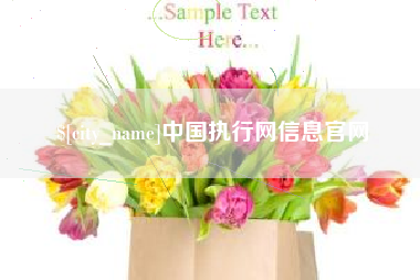 福鼎中国执行网信息官网