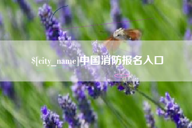 福鼎中国消防报名入口