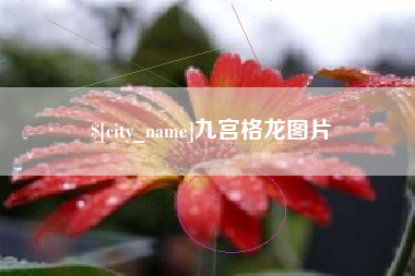福鼎九宫格龙图片