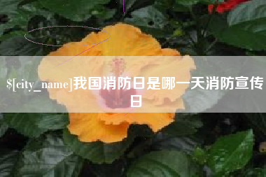 福鼎我国消防日是哪一天消防宣传日