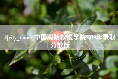福鼎中国消防救援学院2019年录取分数线