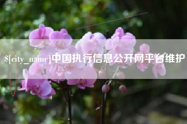 福鼎中国执行信息公开网平台维护