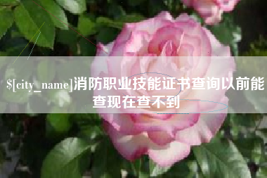 福鼎消防职业技能证书查询以前能查现在查不到