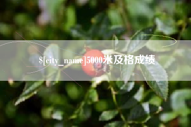 福鼎5000米及格成绩