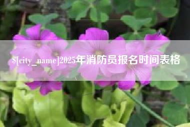 福鼎2025年消防员报名时间表格