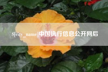 福鼎中国执行信息公开网后