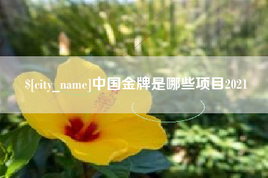 福鼎中国金牌是哪些项目2021