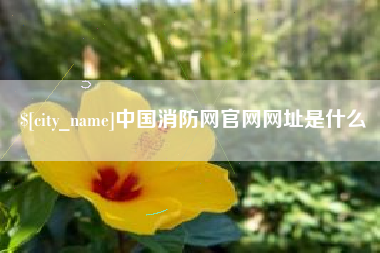 福鼎中国消防网官网网址是什么