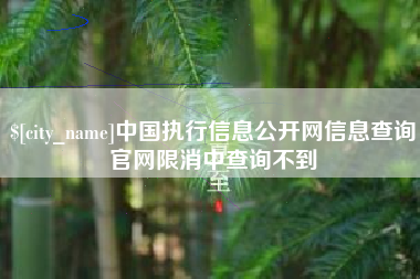 福鼎中国执行信息公开网信息查询官网限消中查询不到