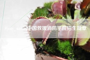 福鼎中国救援消防学院招生简章