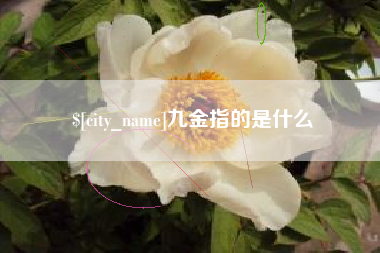 福鼎九金指的是什么