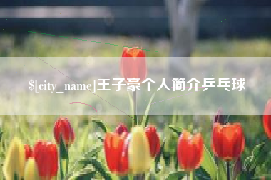 福鼎王子豪个人简介乒乓球