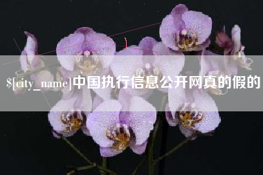 福鼎中国执行信息公开网真的假的