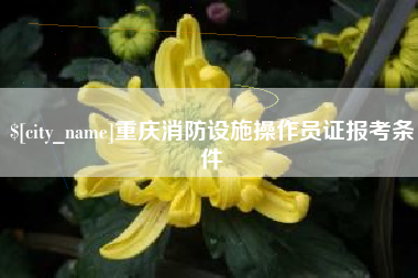 福鼎重庆消防设施操作员证报考条件