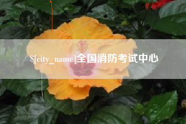 福鼎全国消防考试中心
