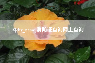 福鼎消防证查询网上查询