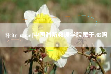福鼎中国消防救援学院属于985吗
