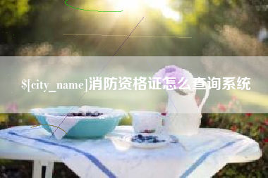 福鼎消防资格证怎么查询系统