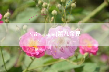 福鼎第九金是