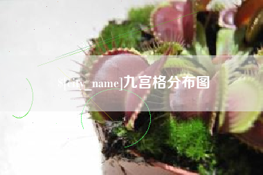 福鼎九宫格分布图