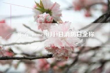 福鼎11月9日消防日全称