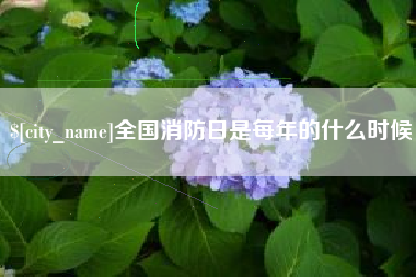 福鼎全国消防日是每年的什么时候