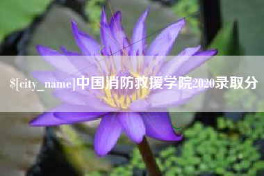 福鼎中国消防救援学院2020录取分
