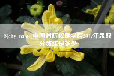 福鼎中国消防救援学院2019年录取分数线是多少