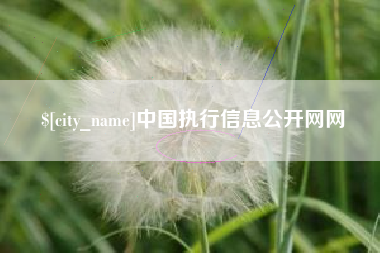 福鼎中国执行信息公开网网
