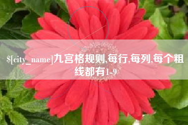 福鼎九宫格规则,每行,每列,每个粗线都有1-9