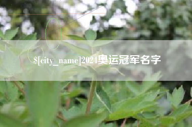 福鼎2024奥运冠军名字