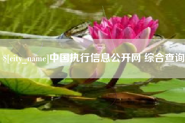 福鼎中国执行信息公开网 综合查询