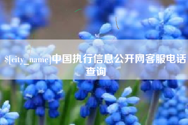福鼎中国执行信息公开网客服电话查询