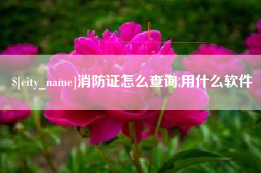 福鼎消防证怎么查询,用什么软件