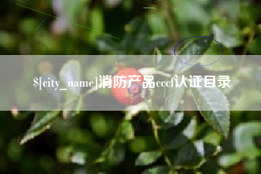 福鼎消防产品cccf认证目录