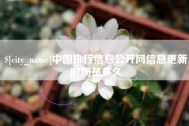 福鼎中国执行信息公开网信息更新时间是多久