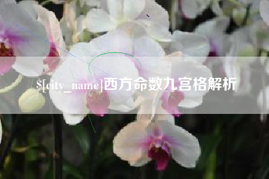 福鼎西方命数九宫格解析