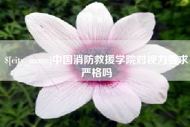 福鼎中国消防救援学院对视力要求严格吗